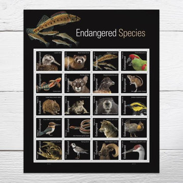 US 2023 SC#5800 Endangered Species Forever Stamps (Sheet/20 Stamps) VF MNH