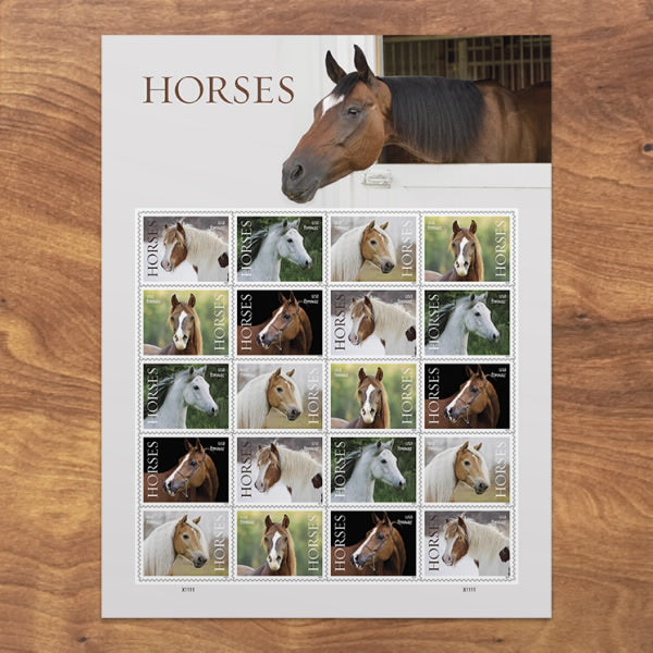 US 2024 SC#5891-5895 Horses Forevers Stamps ( Sheet of 20 Stamps ) MNH VF