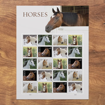 US 2024 SC#5891-5895 Horses Forevers Stamps ( Sheet of 20 Stamps ) MNH VF