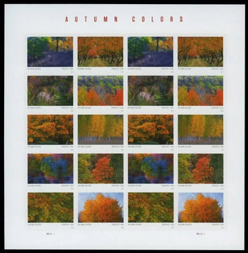 2024 US SC#5929a-38a 5938c - Autumn Colors Stamps - Imperf Orate - No-Die-Cut