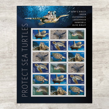 US 2024 SC#5865 - 5870 Protect Sea Turtles Forevers Stamps ( Sheet of 18 Stamps ) MNH VF