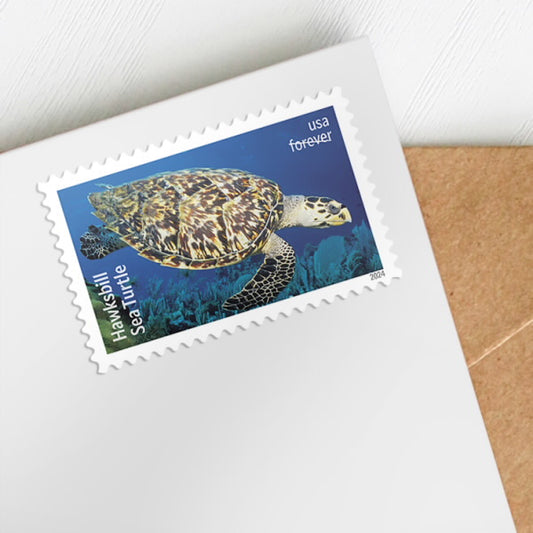 US 2024 SC#5865 - 5870 Protect Sea Turtles Stamps ( Sheet of 18 Stamps ) MNH VF