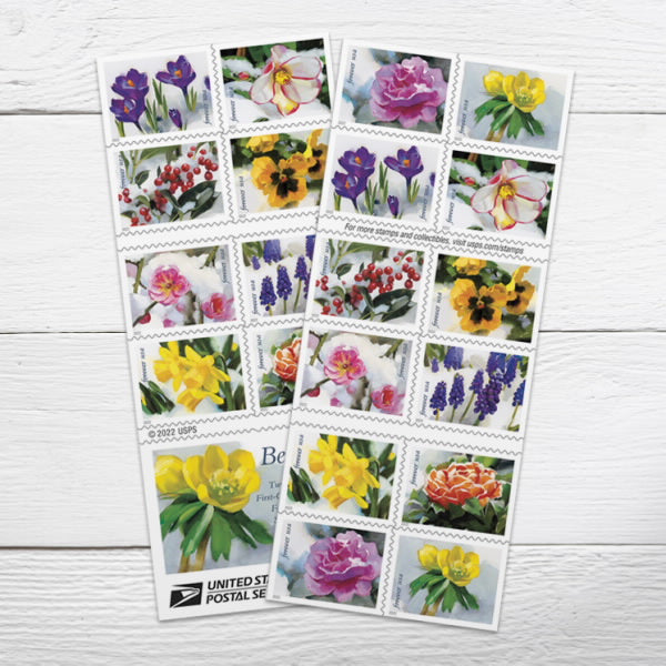 Snowy Beauty Stamps