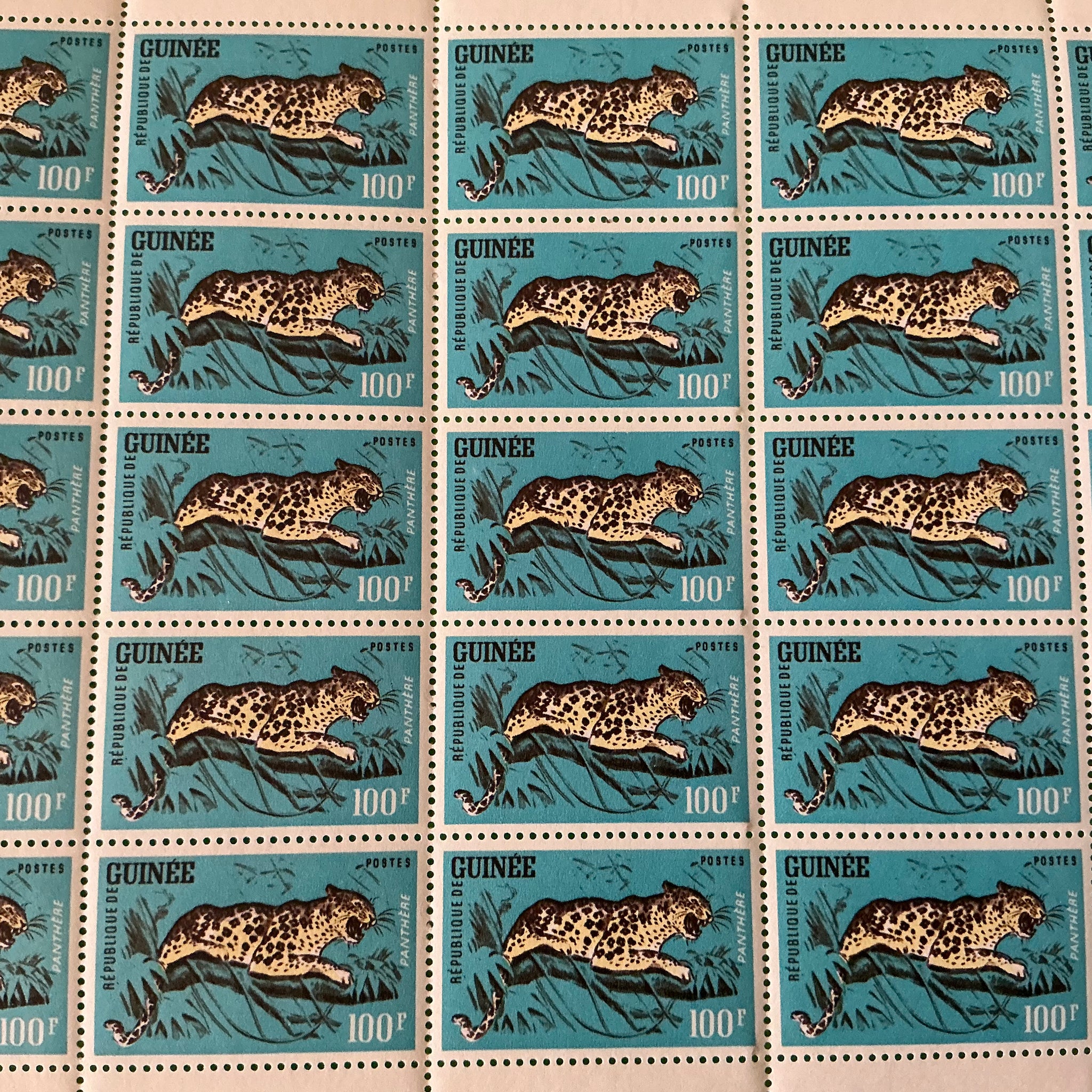 1962 Guinea Feline Stamps - Leopard Stamp Sheet - Sheet of 25, 5, Single, Stamp - MNH