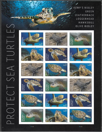 2024 Protect Sea Turtles Stamps - SC#5870c - Imperf Orate - No-Die-Cut - 18/Set - MNH